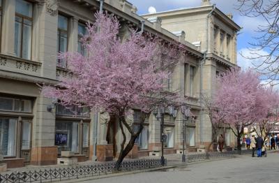 Прикрепленное изображение: rt.jpg